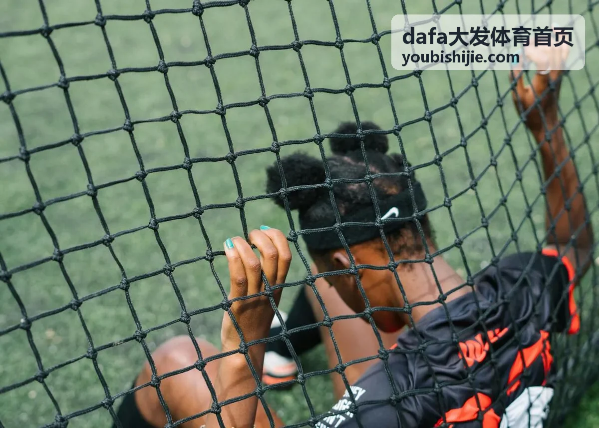 dafa大发体育首页体育资讯栏目导览图